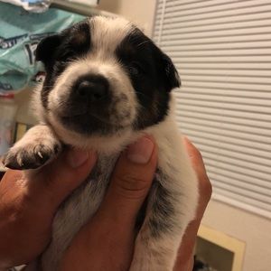 Meet your Posher, Ana